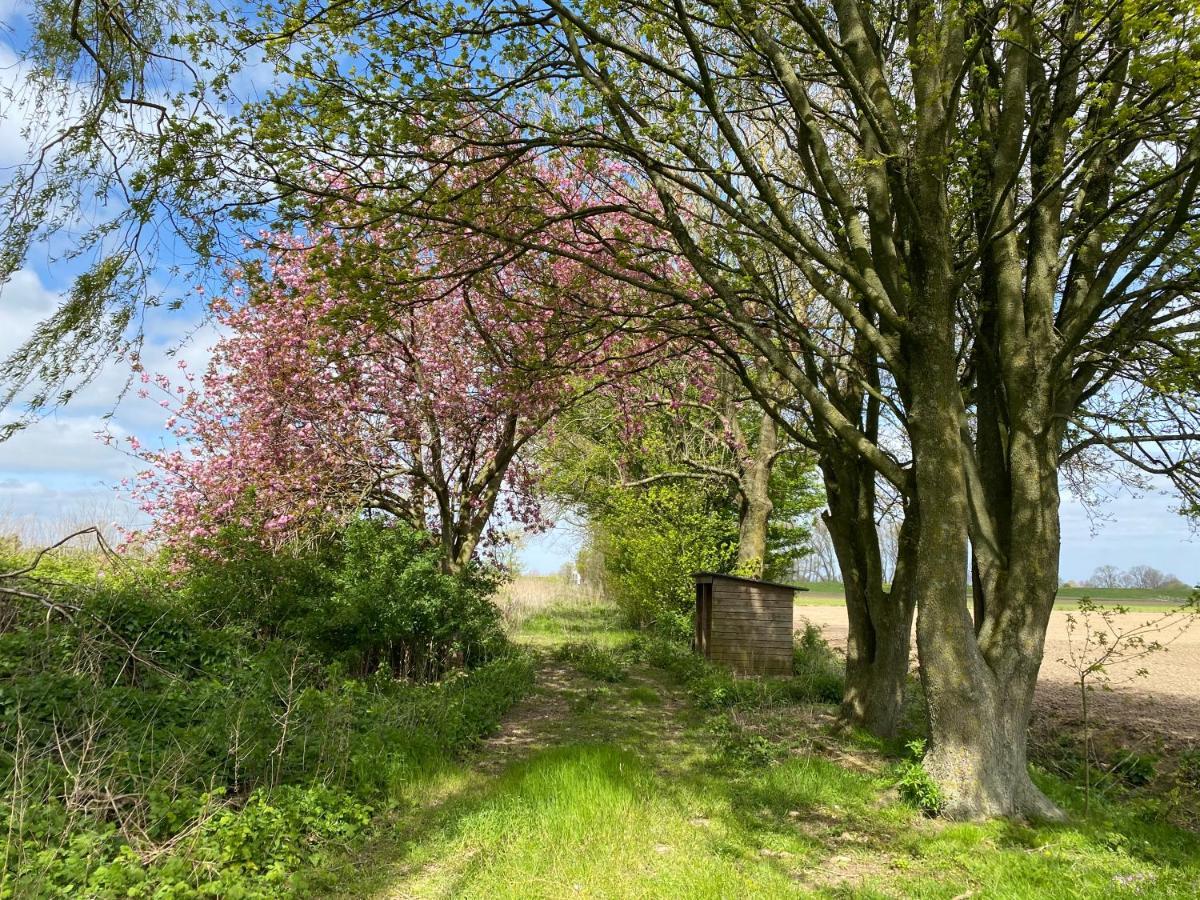 Roer, huisje aan de Maas Maren-Kessel Buitenkant foto