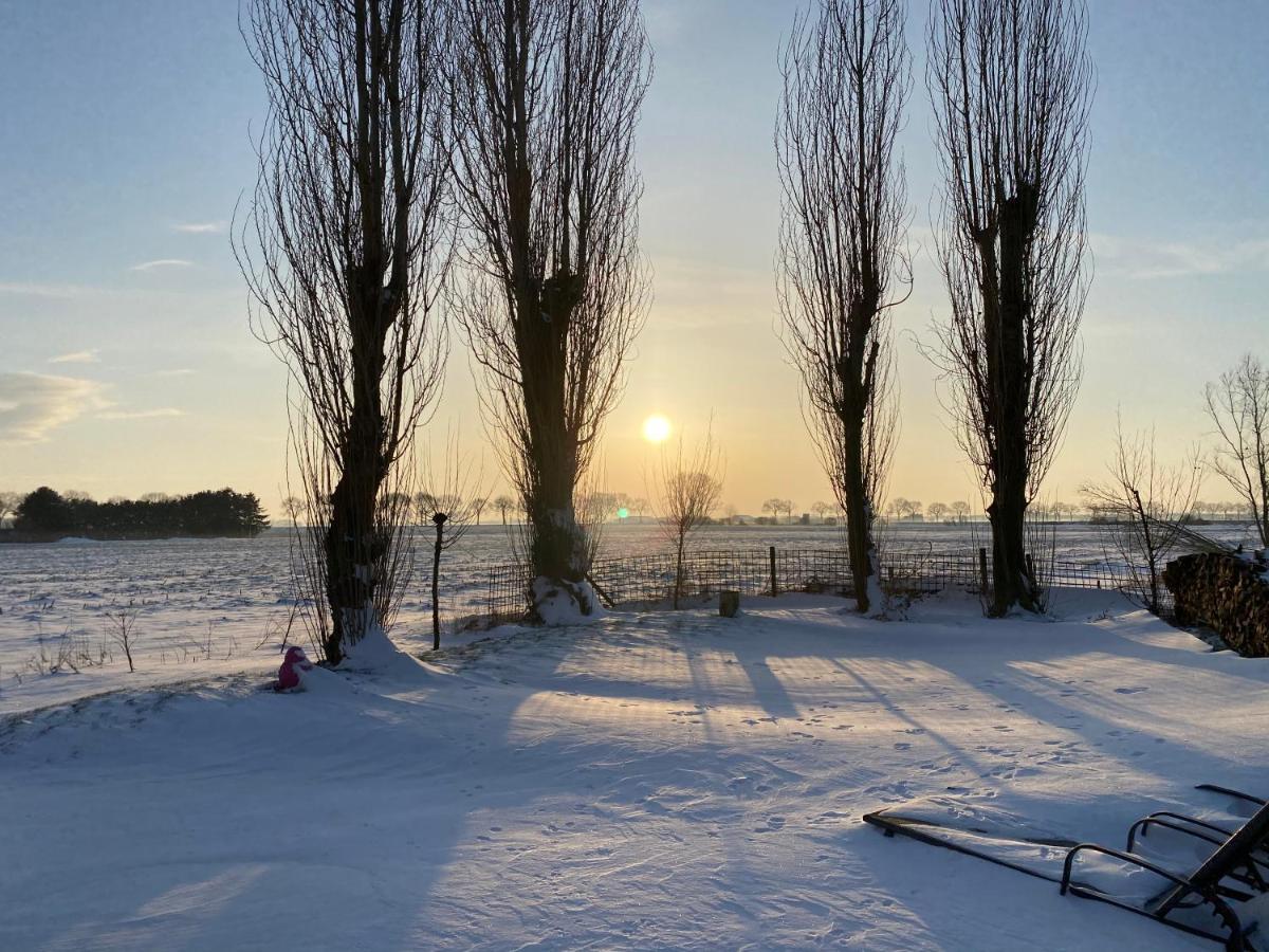 Roer, huisje aan de Maas Maren-Kessel Buitenkant foto