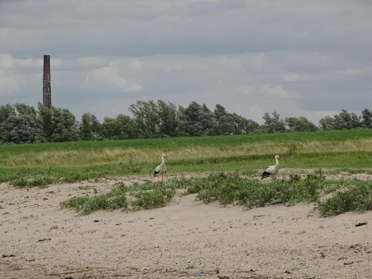 Roer, huisje aan de Maas Maren-Kessel Buitenkant foto